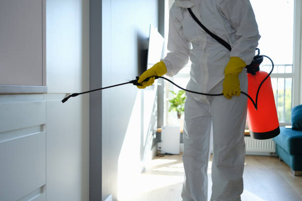 Best Mold Remediation for Schools in Fort Davis, TX